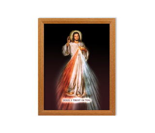 Divine Mercy Jesus I Trust In You Framed Print
