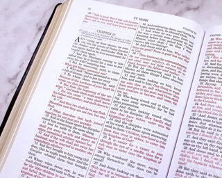 Douay-Rheims Bible Deluxe Large Print Edition