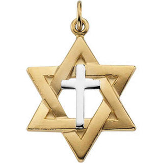 YGF_SS Two Tone Star Of David Pendant