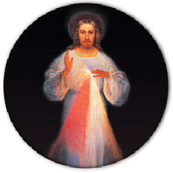 Divine Mercy Rosary - Cord - The Sisters of Our Lady of Mercy