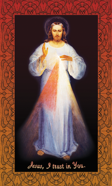 Divine Mercy Holy Card - Jesus I Trust In You - 25-Pack