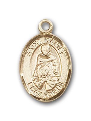 14K Gold St. Daniel Pendant