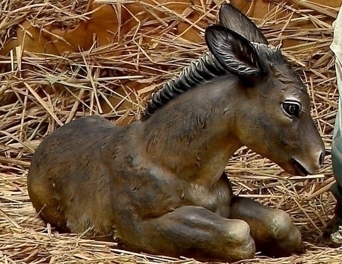 27-inch Scale Color Donkey 13"H