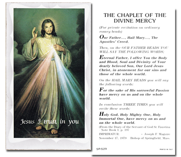 100-Pack - Chaplet Of The Divine Mercy Holy Card with Prayer